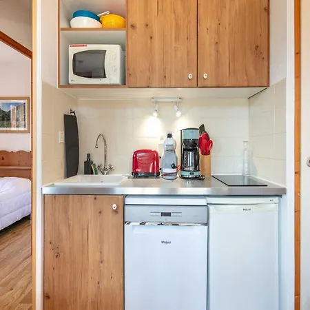 Apt In Chamrousse, Near Ski Slope Chamrousse